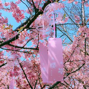 未闻花名（钢琴版）