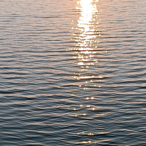 玫 瑰 少 年（钢琴版）