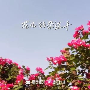 花儿的尕连手