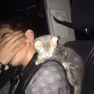 Grup Seyran-yar derdi（伊马木艾散 remix）