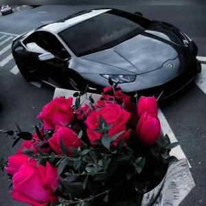 Whoopty (Омар музыка rmix)