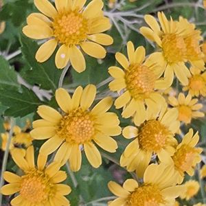 달콤한 꿈 ㅡ42 by Lee.k.s