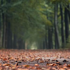 错爱（翻自 刘增瞳）