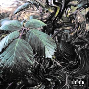 Rovi (feat. Angel Got Drip & Papicorry)