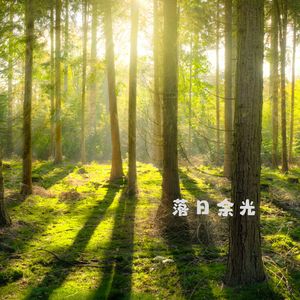 前行 (悠远)