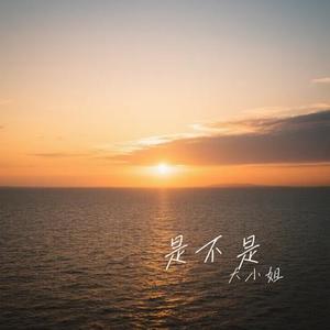 是不是 (Cover 吕口口)
