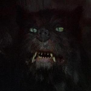 Yacht Music (Miami Vice)