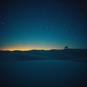 Lanterns of Forgotten Love