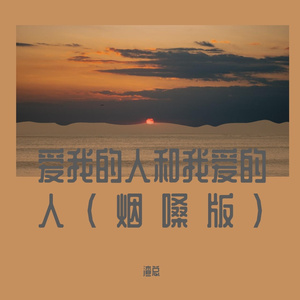 爱我的人和我爱的人（烟嗓版）