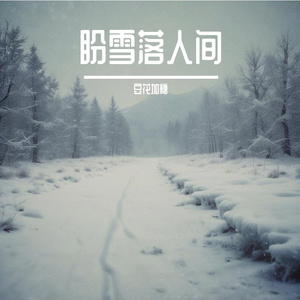 盼雪落人间