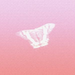 她喜与他记（Cover 朴宝英）