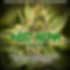 Success (feat. Elli)