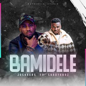 BAMIDELE (feat. SHADYKARZ)