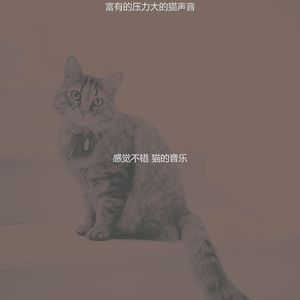 抚慰的压力大的猫回忆
