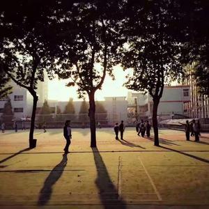 回到过去，面向未来