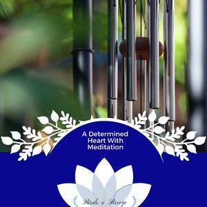 Composuring Spa Melodies