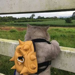 趁你还爱趁他还在_20220406_165959