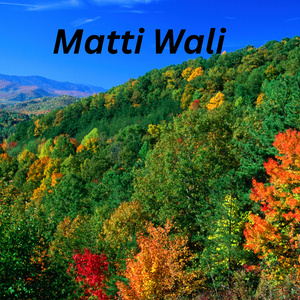 Matti wali