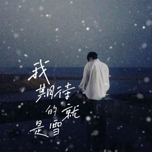 我期待的就是雪