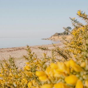 回响：新迪斯科派对狂潮