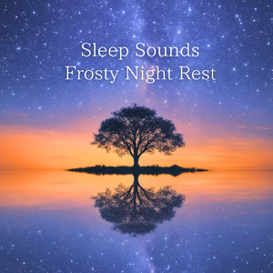 睡眠用BGM まどろみに溶ける波の音