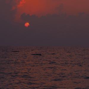 夕阳下的见面