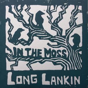 Long Lankin