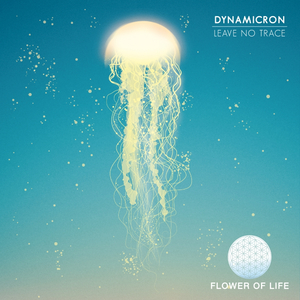 Leave No Trace (Original Mix)