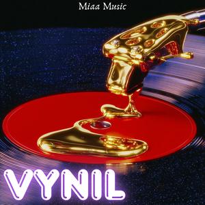 Vynil