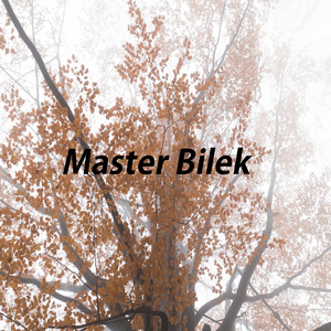 Master Bilek