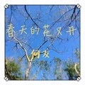 春天的花又开