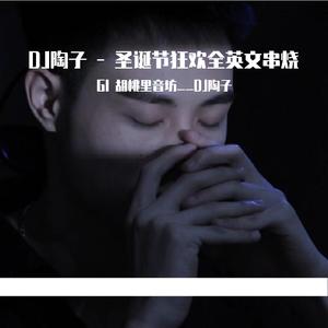 Dj 陶子RMX-DJ陶子 - 圣诞节狂欢全英文串烧（Gl 胡桃里音坊__DJ陶子 remix）