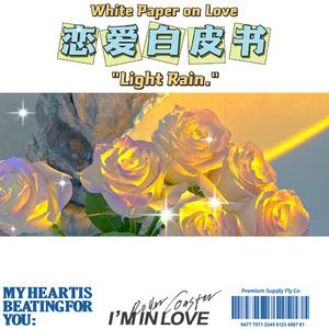 恋爱白皮书