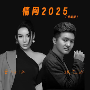 情网2025 (对唱版)