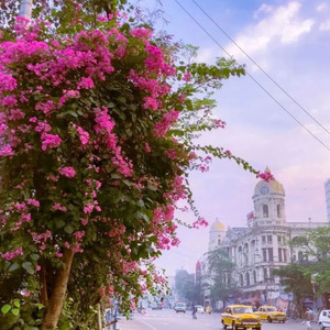 JAAN MERI JAA RAHI (SV)