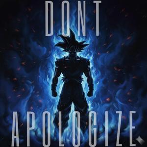 DONT APLOGIZE (slowed)