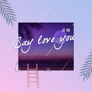 Say Love You