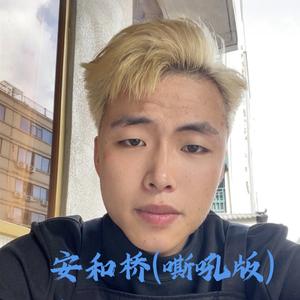 安和桥(嘶吼版)