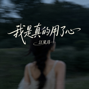 我是真的用了心