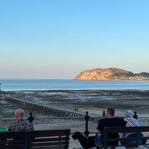 放空在我的二十岁常伴