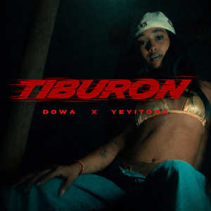 Tiburon
