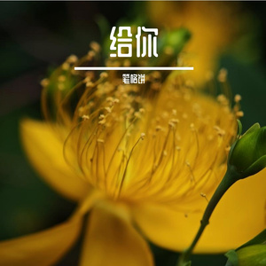 花火