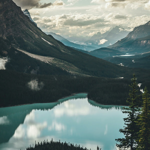 Bliss