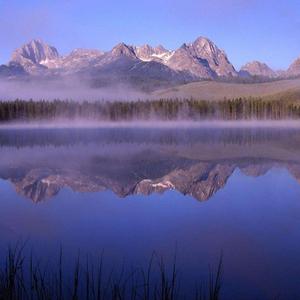 我已经习惯了你的离开