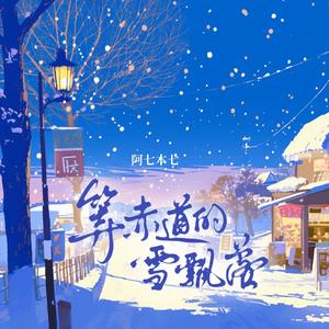 等赤道的雪飘落