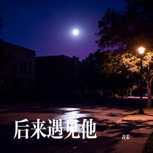 后来遇见他 (Cover 胡66)