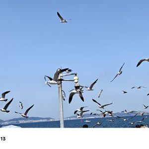 日落时分的那片海