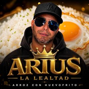 Arroz con huevo Frito