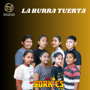 La Fiesta Cumbiambera/La Cumbia Sampuesana/Palito Marañon/La Novia Fea/La Hojita/La Tablita/Burbuja/Mil Horas