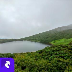 浪漫乐章的幻梦之境